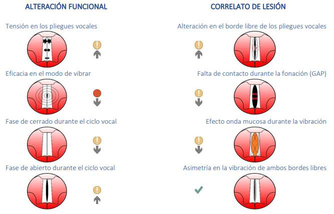 voz 2